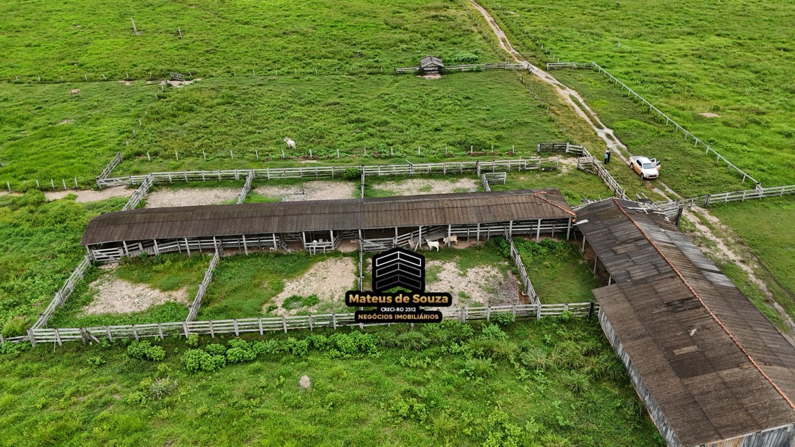 WhatsApp Image 2026-02-21 at 20.18.14