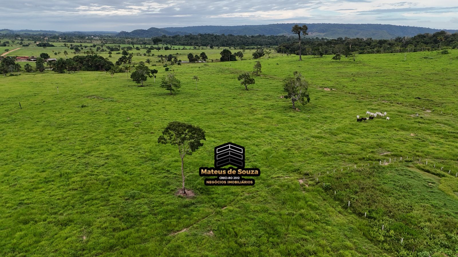 WhatsApp Image 2026-02-21 at 20.39.52