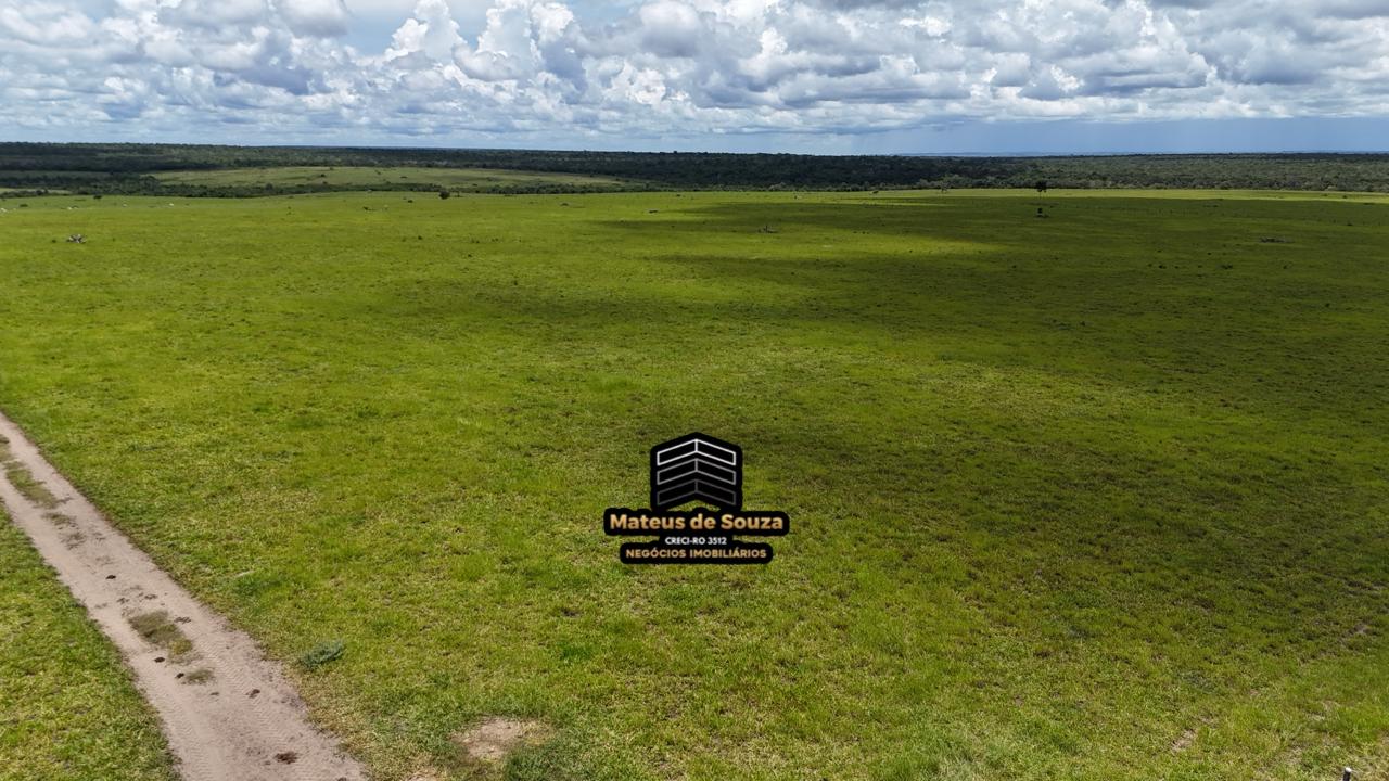 WhatsApp Image 2026-02-21 at 20.40.38