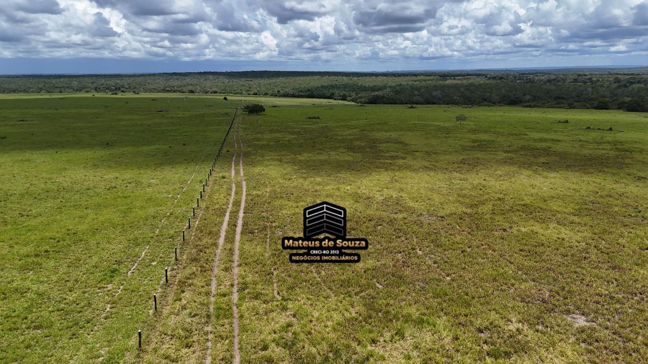 WhatsApp Image 2026-02-21 at 20.40.39 (1)