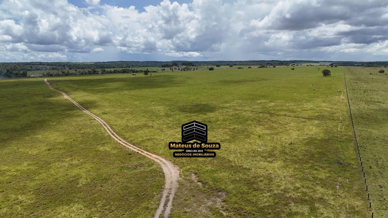 WhatsApp Image 2026-02-21 at 20.40.39