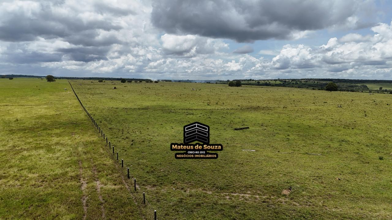 WhatsApp Image 2026-02-21 at 20.40.40 (1)