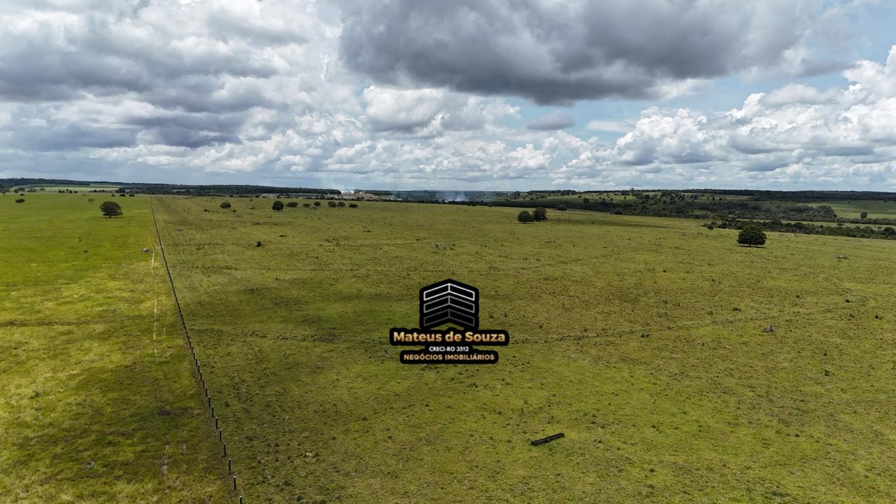 WhatsApp Image 2026-02-21 at 20.40.40