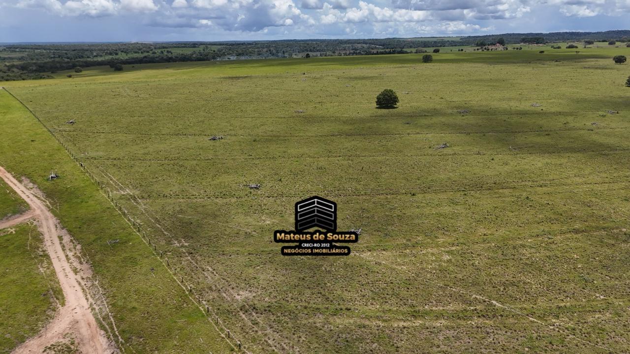 WhatsApp Image 2026-02-21 at 20.40.41 (1)