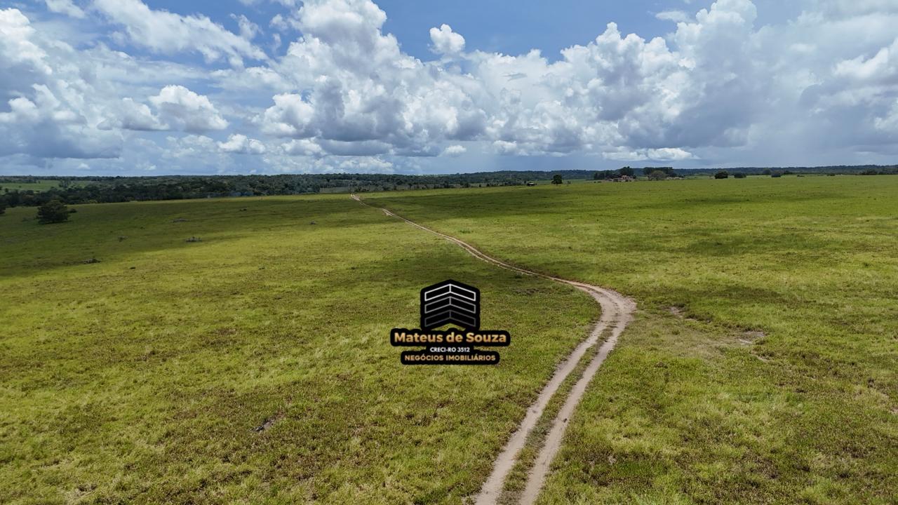 WhatsApp Image 2026-02-21 at 20.40.41 (2)