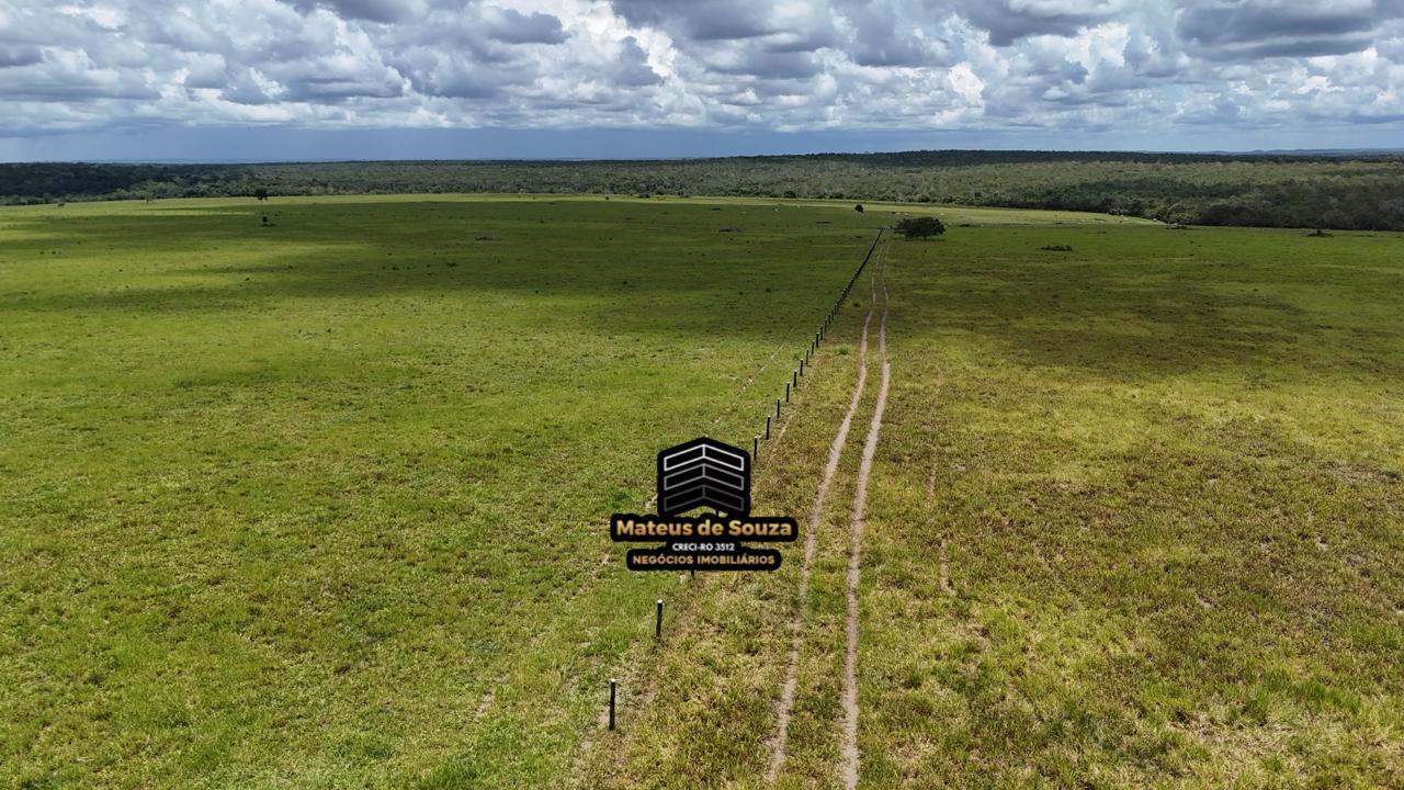 WhatsApp Image 2026-02-21 at 20.40.41