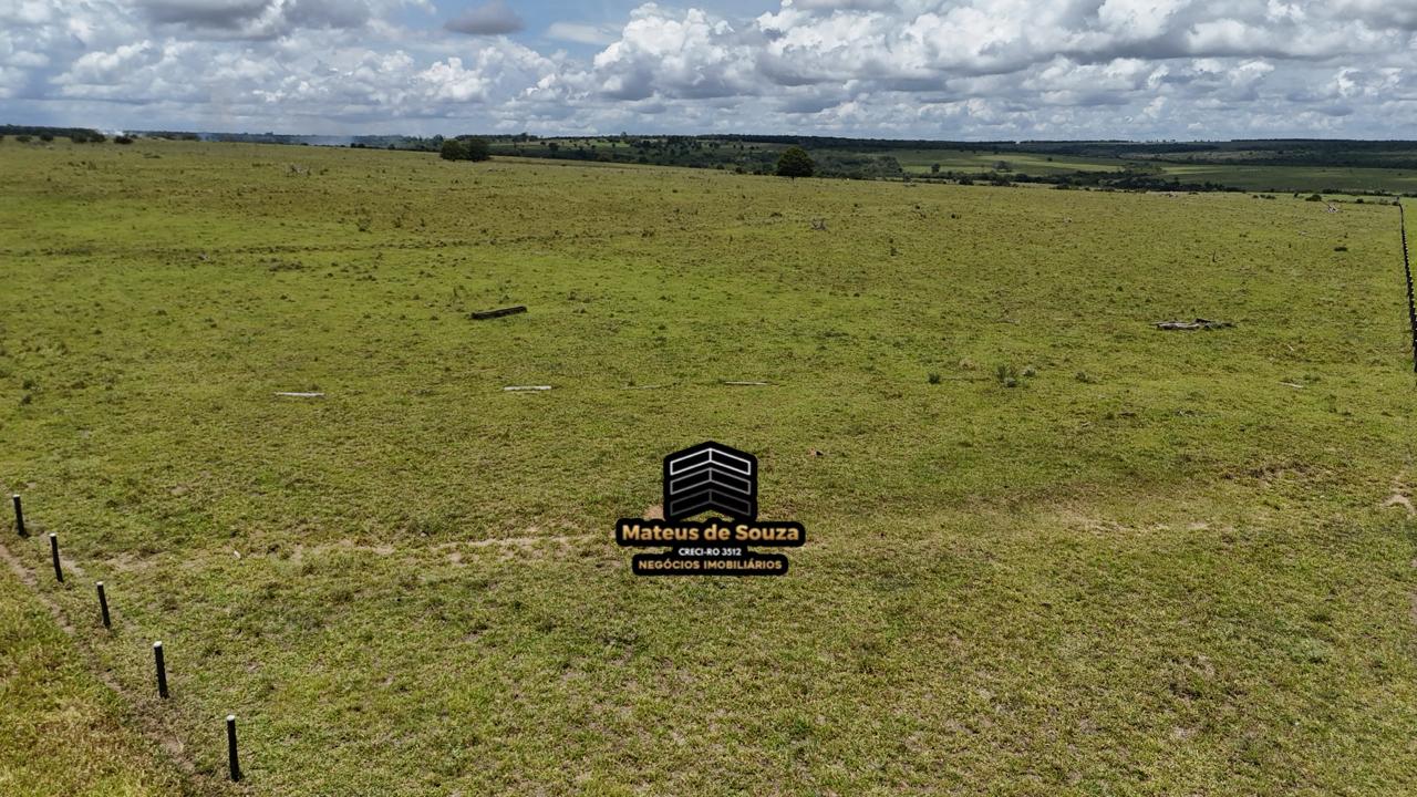 WhatsApp Image 2026-02-21 at 20.40.42 (1)