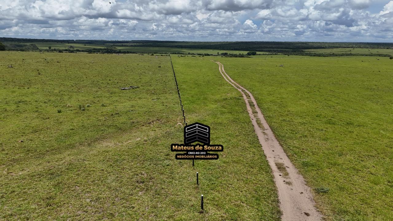 WhatsApp Image 2026-02-21 at 20.40.42