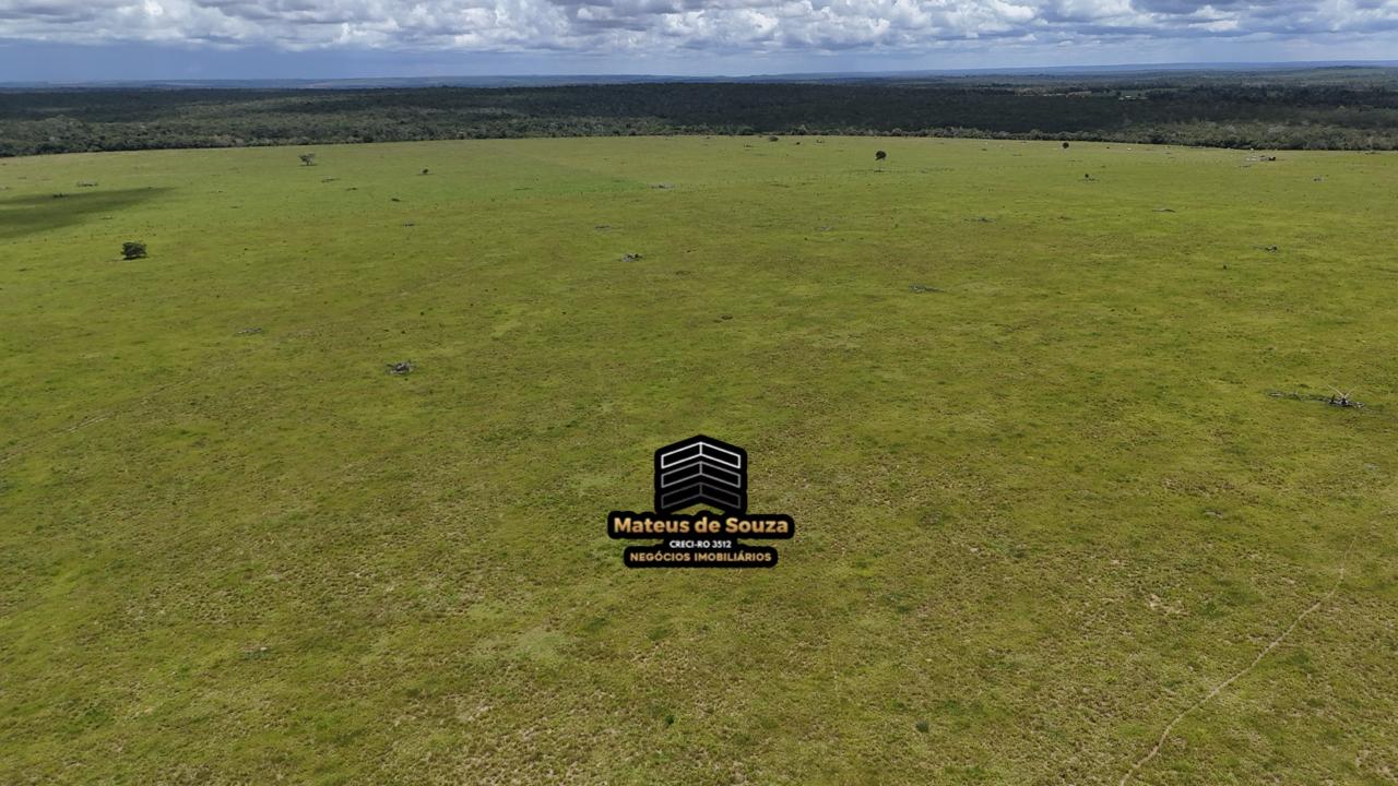 WhatsApp Image 2026-02-21 at 20.40.44 (1)