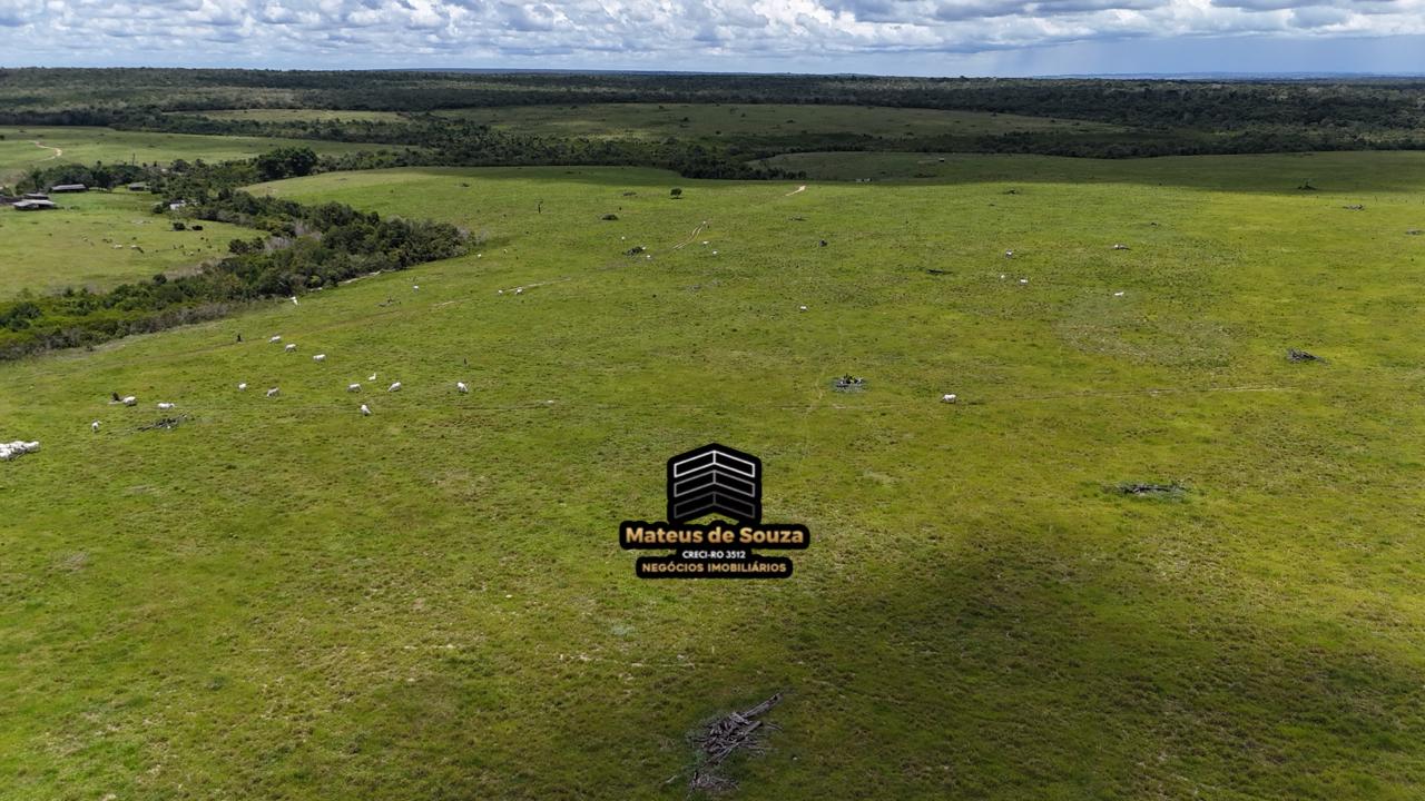 WhatsApp Image 2026-02-21 at 20.40.44 (2)