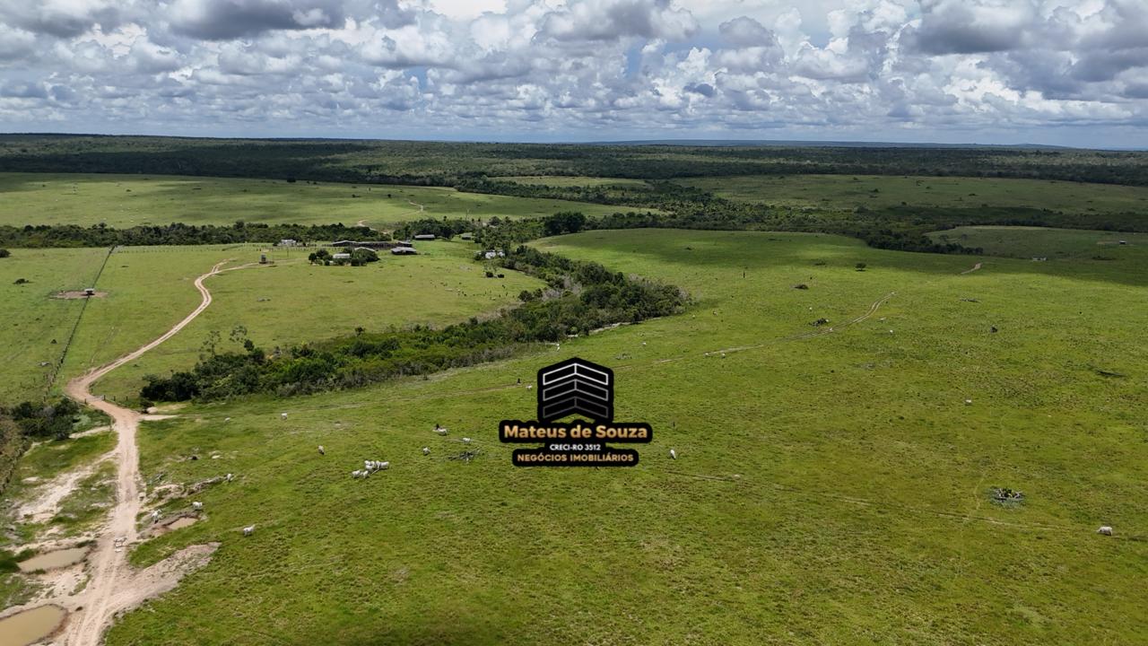 WhatsApp Image 2026-02-21 at 20.40.44