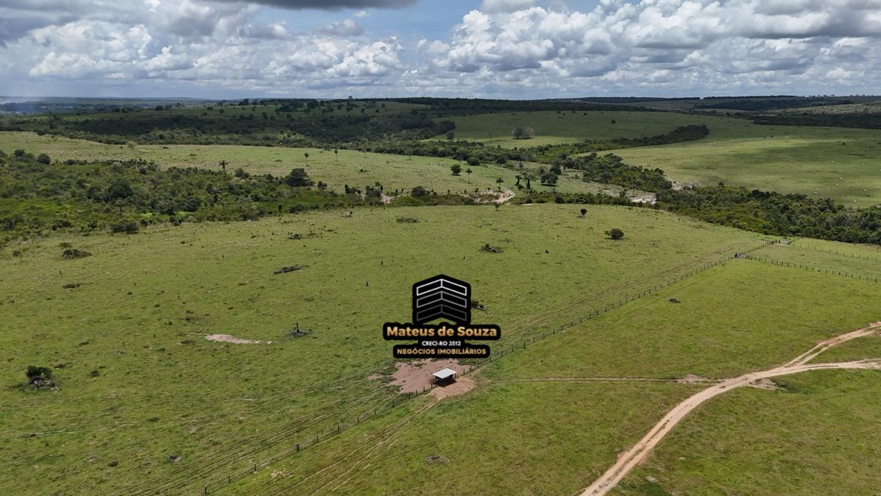 WhatsApp Image 2026-02-21 at 20.40.45