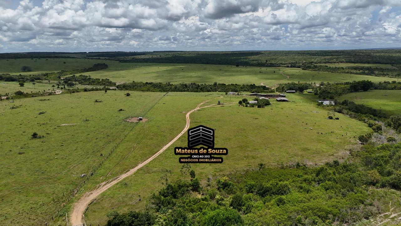 WhatsApp Image 2026-02-21 at 20.40.46 (1)