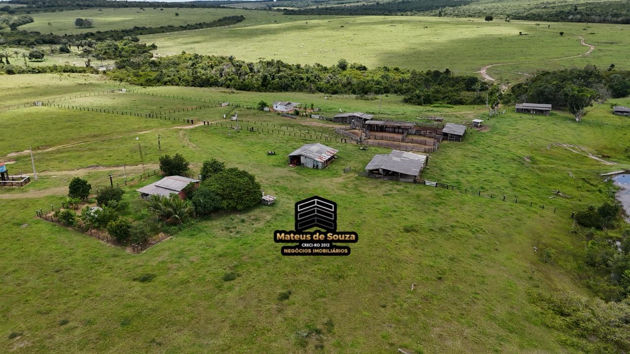 WhatsApp Image 2026-02-21 at 20.40.46