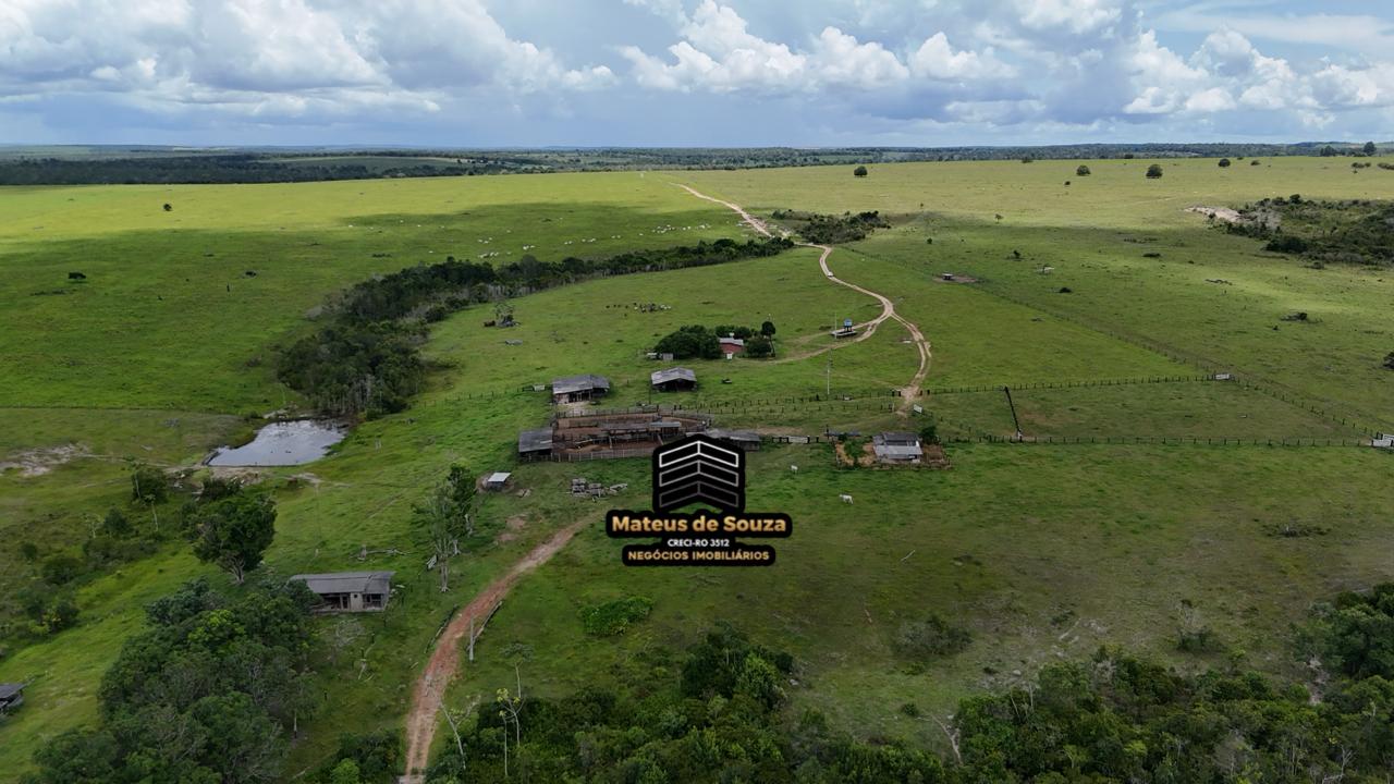 WhatsApp Image 2026-02-21 at 20.40.47 (2)