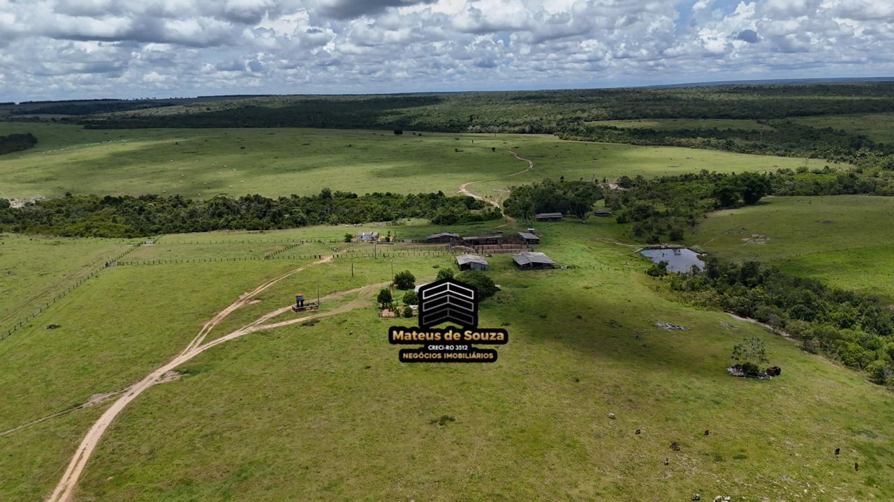 WhatsApp Image 2026-02-21 at 20.40.47