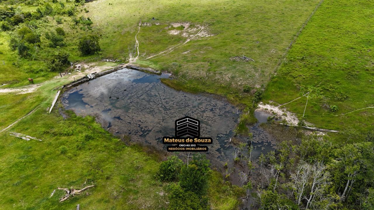 WhatsApp Image 2026-02-21 at 20.40.48 (1)