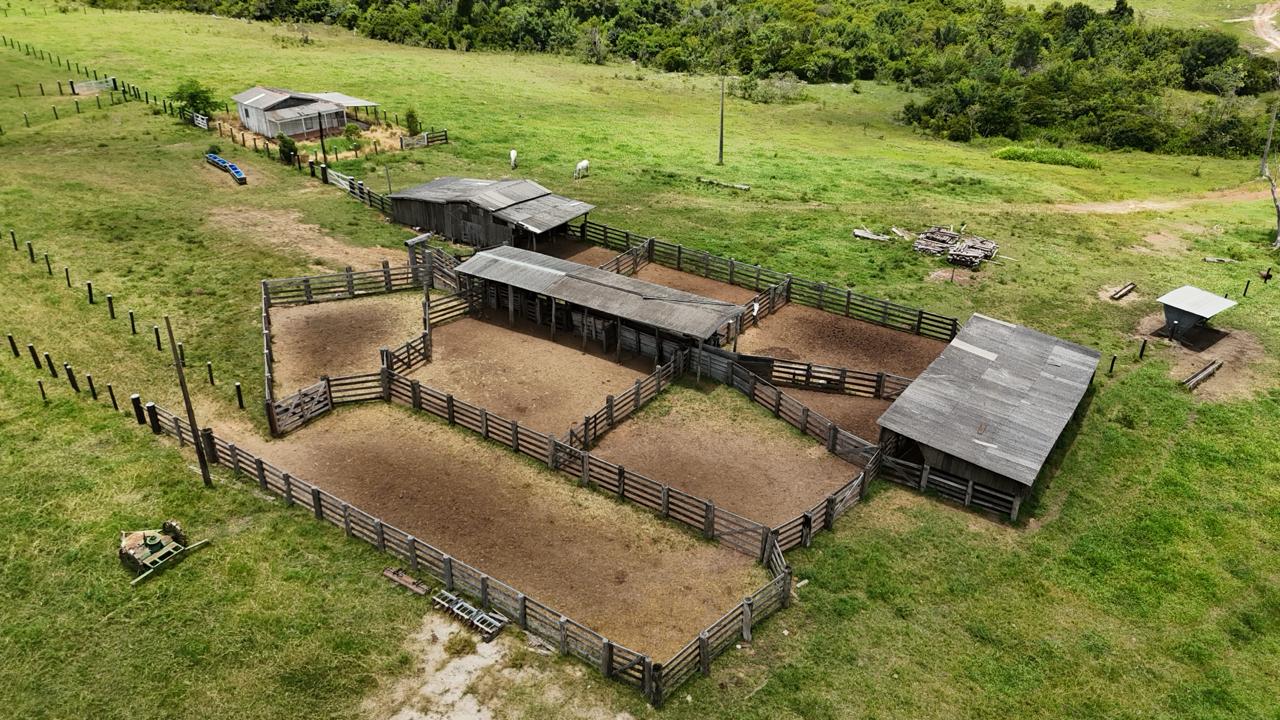 WhatsApp Image 2026-02-21 at 20.40.48