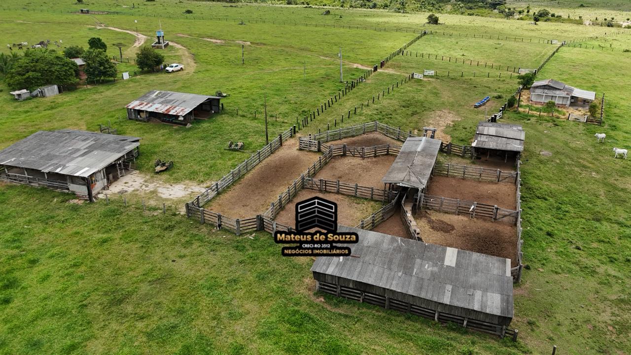 WhatsApp Image 2026-02-21 at 20.40.49