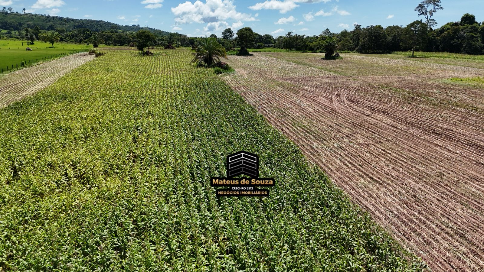 WhatsApp Image 2026-02-21 at 20.41.34