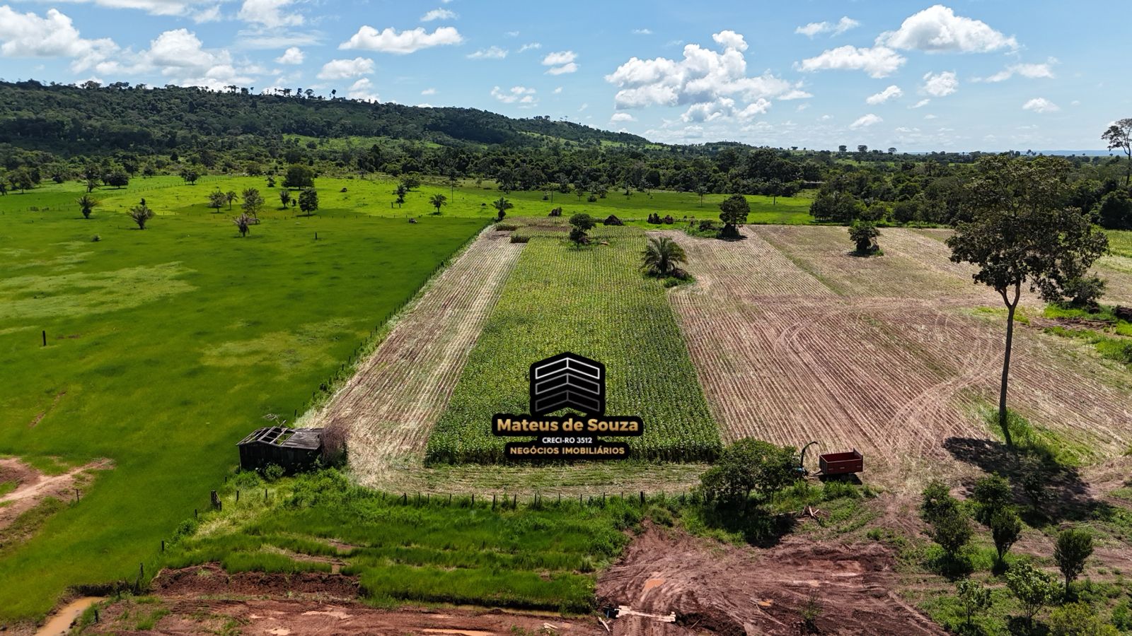 WhatsApp Image 2026-02-21 at 20.41.35