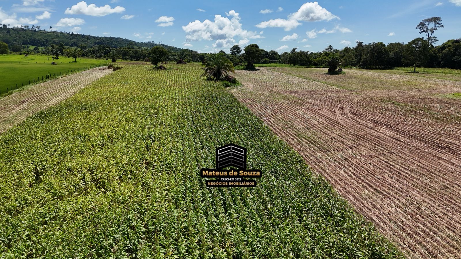 WhatsApp Image 2026-02-21 at 20.41.36