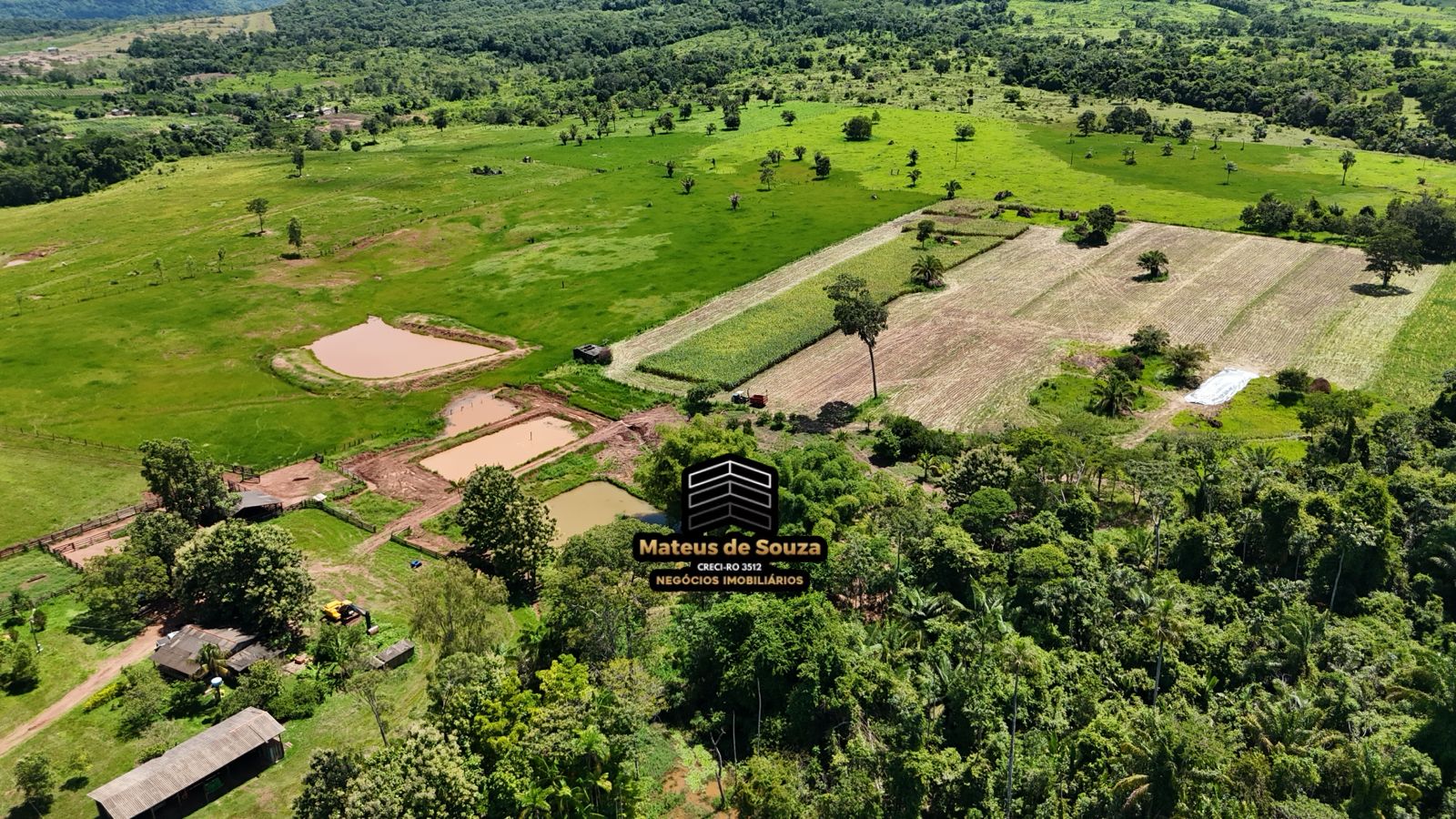 WhatsApp Image 2026-02-21 at 20.41.38 (1)