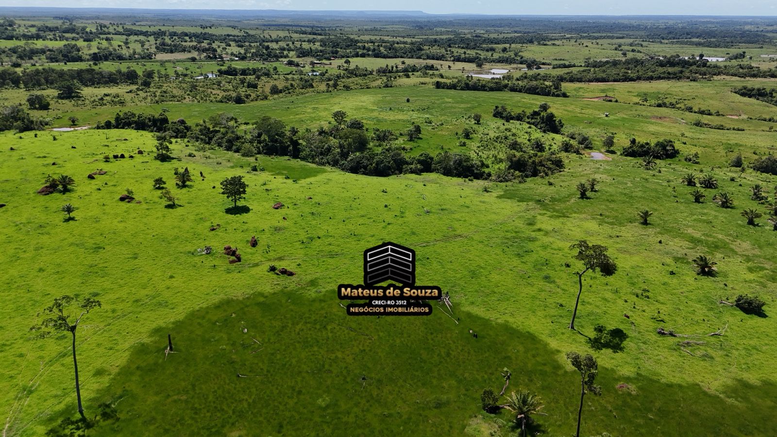 WhatsApp Image 2026-02-21 at 20.41.39 (1)