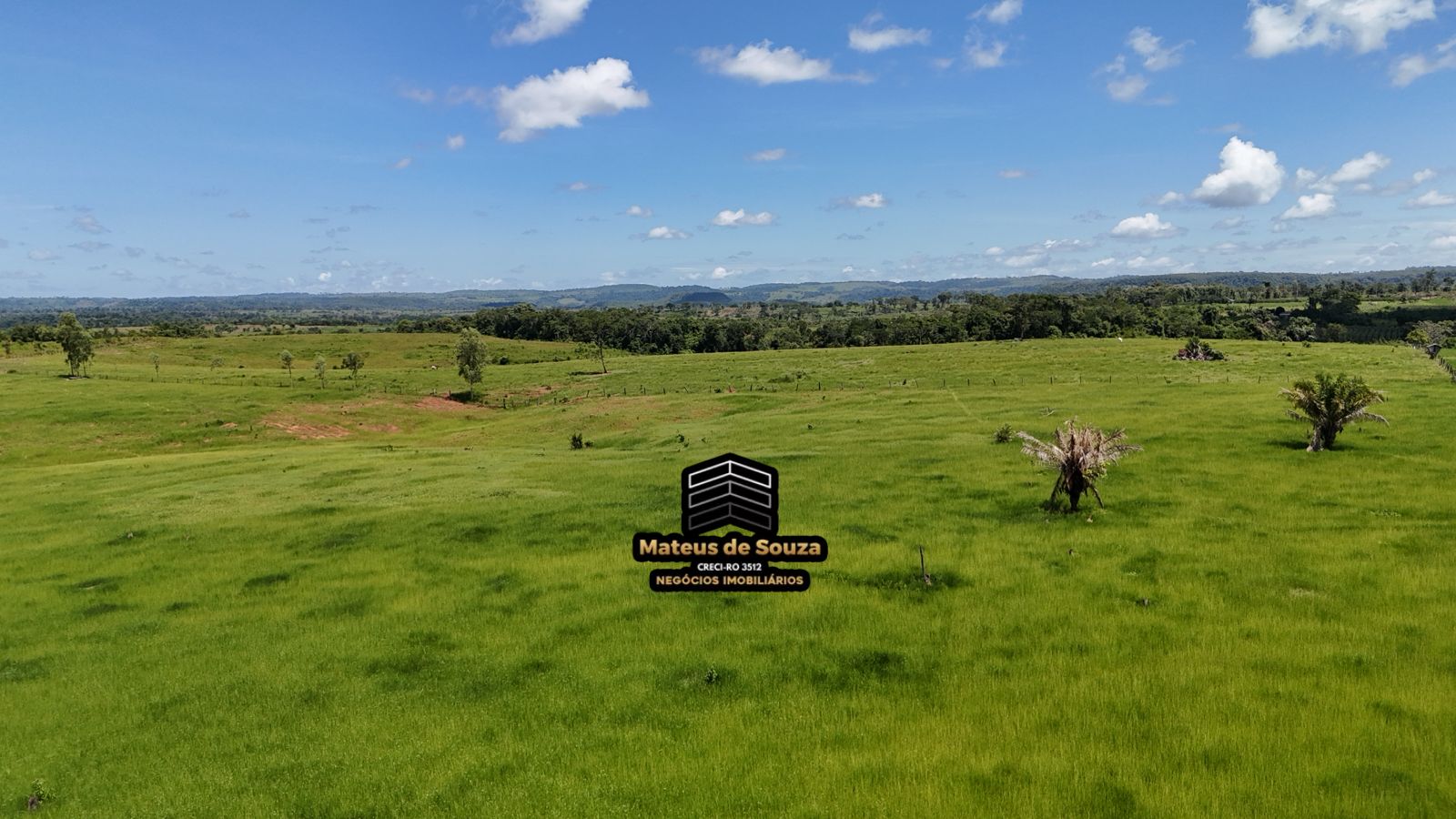 WhatsApp Image 2026-02-21 at 20.41.40