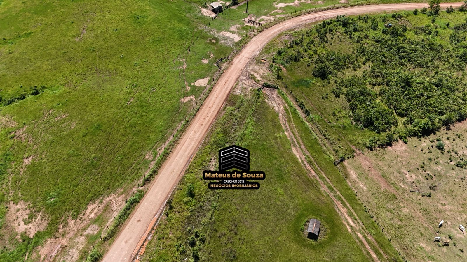 WhatsApp Image 2026-02-21 at 20.41.41