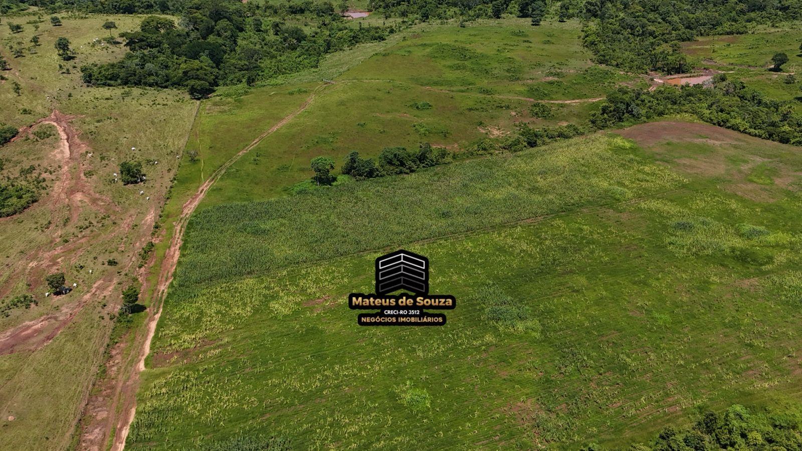 WhatsApp Image 2026-02-21 at 20.41.42 (1)