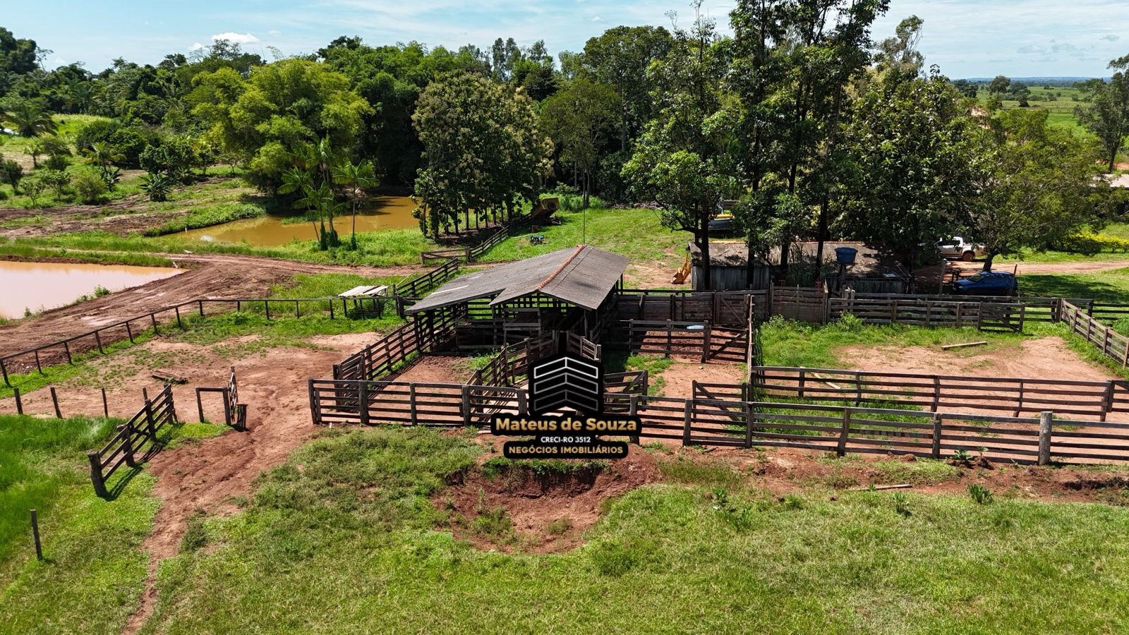 WhatsApp Image 2026-02-21 at 20.41.43