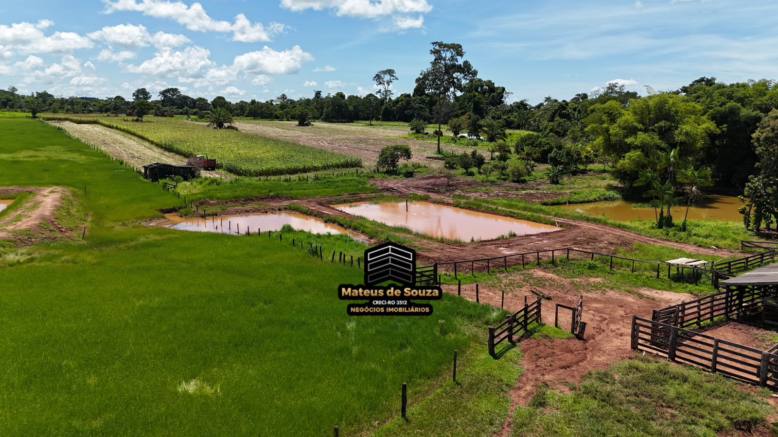 WhatsApp Image 2026-02-21 at 20.41.44 (1)