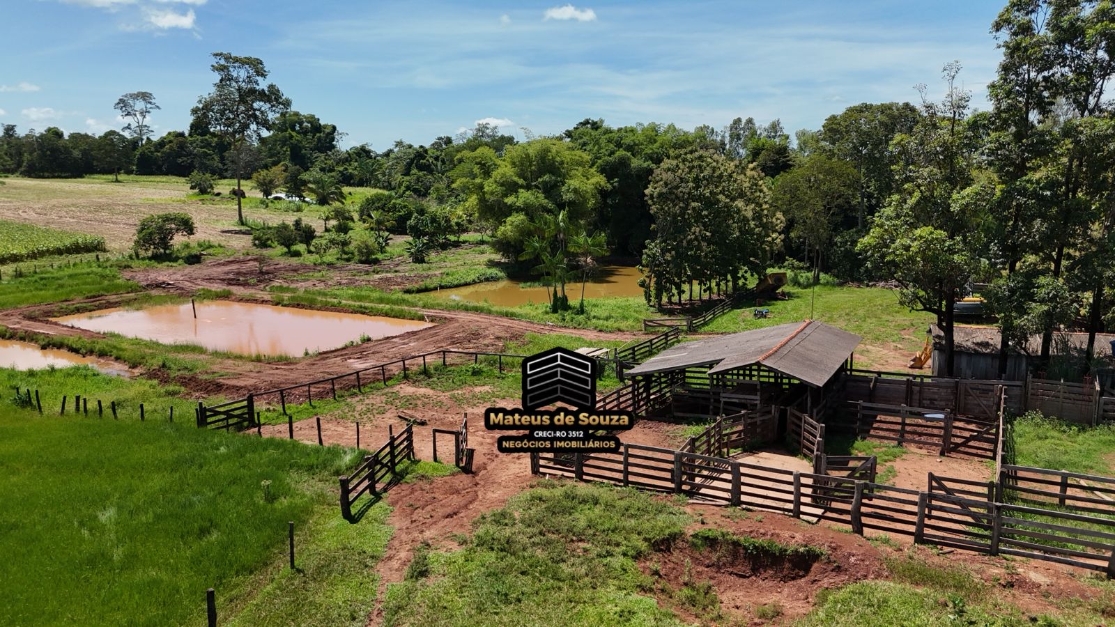 WhatsApp Image 2026-02-21 at 20.41.44