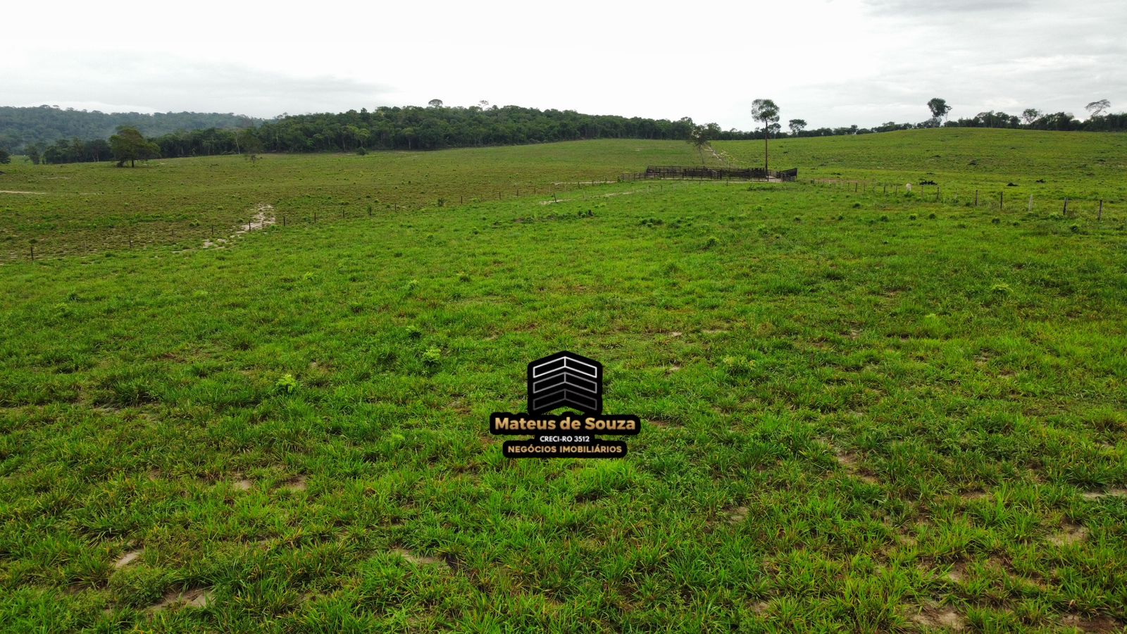 WhatsApp Image 2026-02-21 at 20.42.07