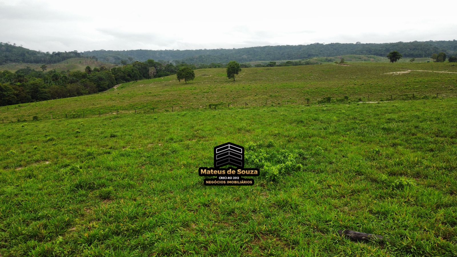 WhatsApp Image 2026-02-21 at 20.42.08