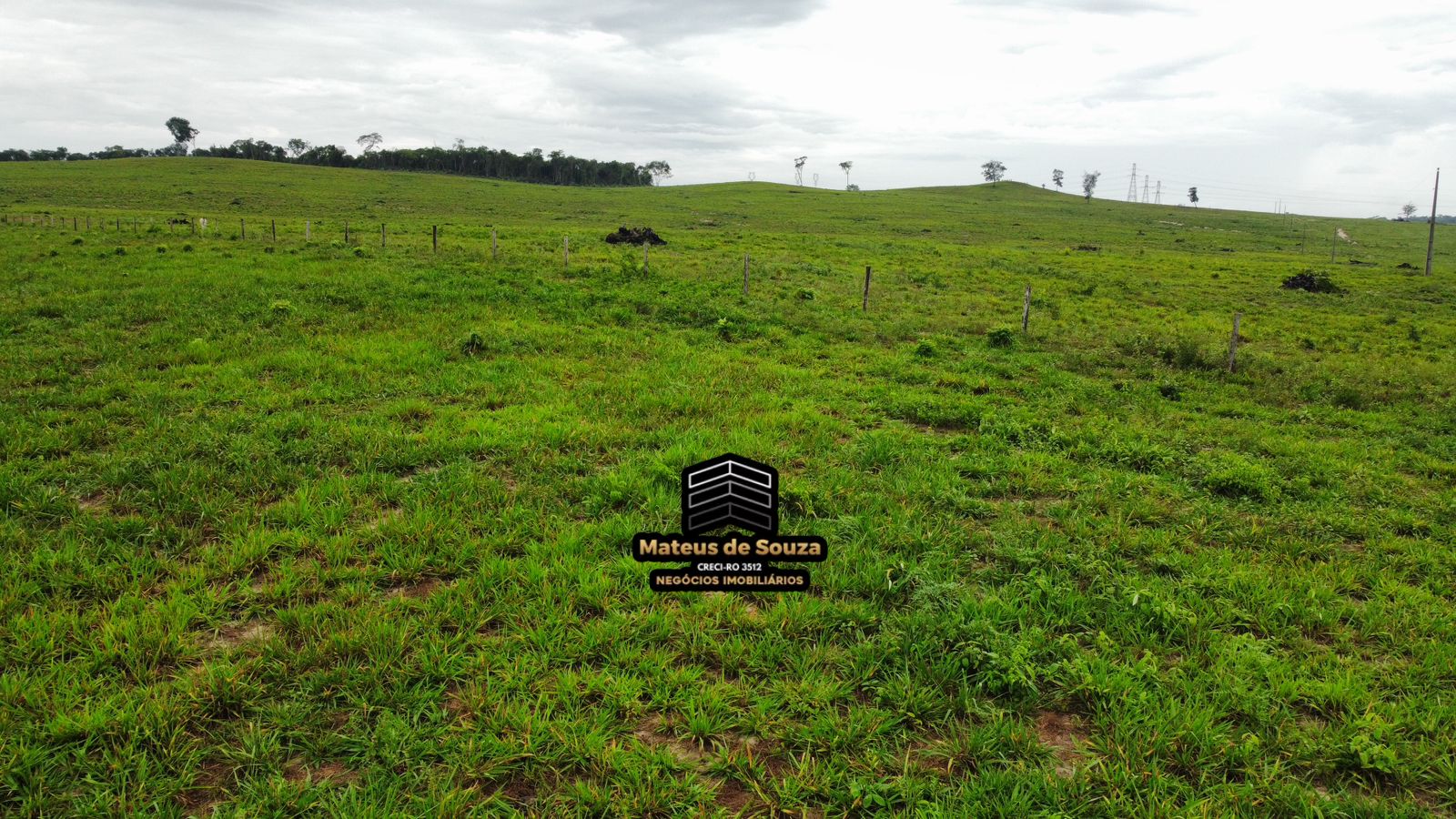 WhatsApp Image 2026-02-21 at 20.42.09