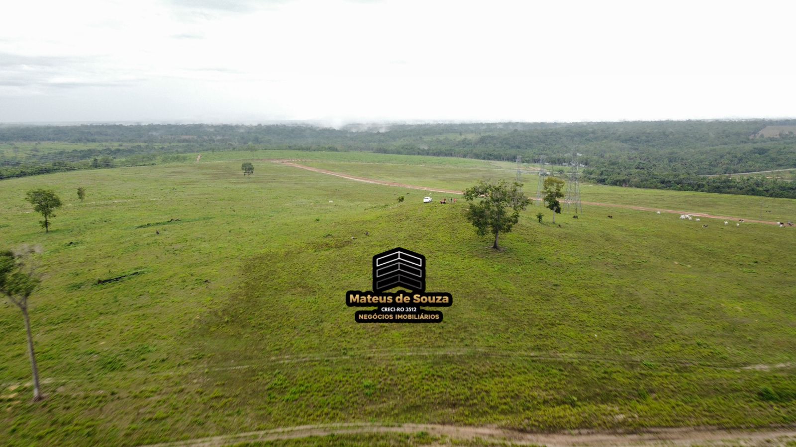 WhatsApp Image 2026-02-21 at 20.42.11 (1)