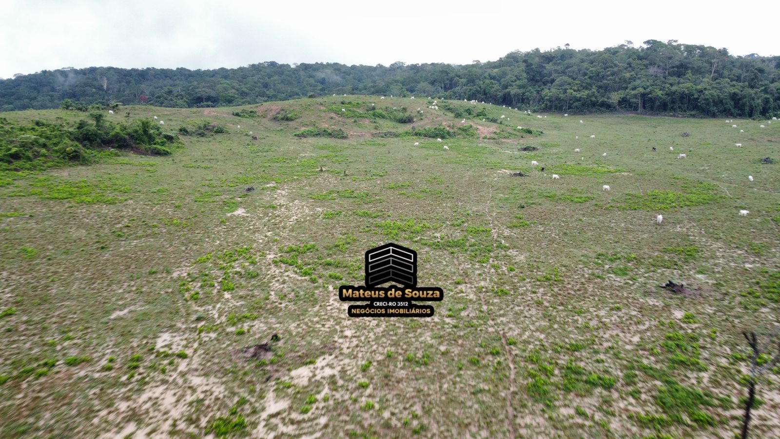 WhatsApp Image 2026-02-21 at 20.42.11