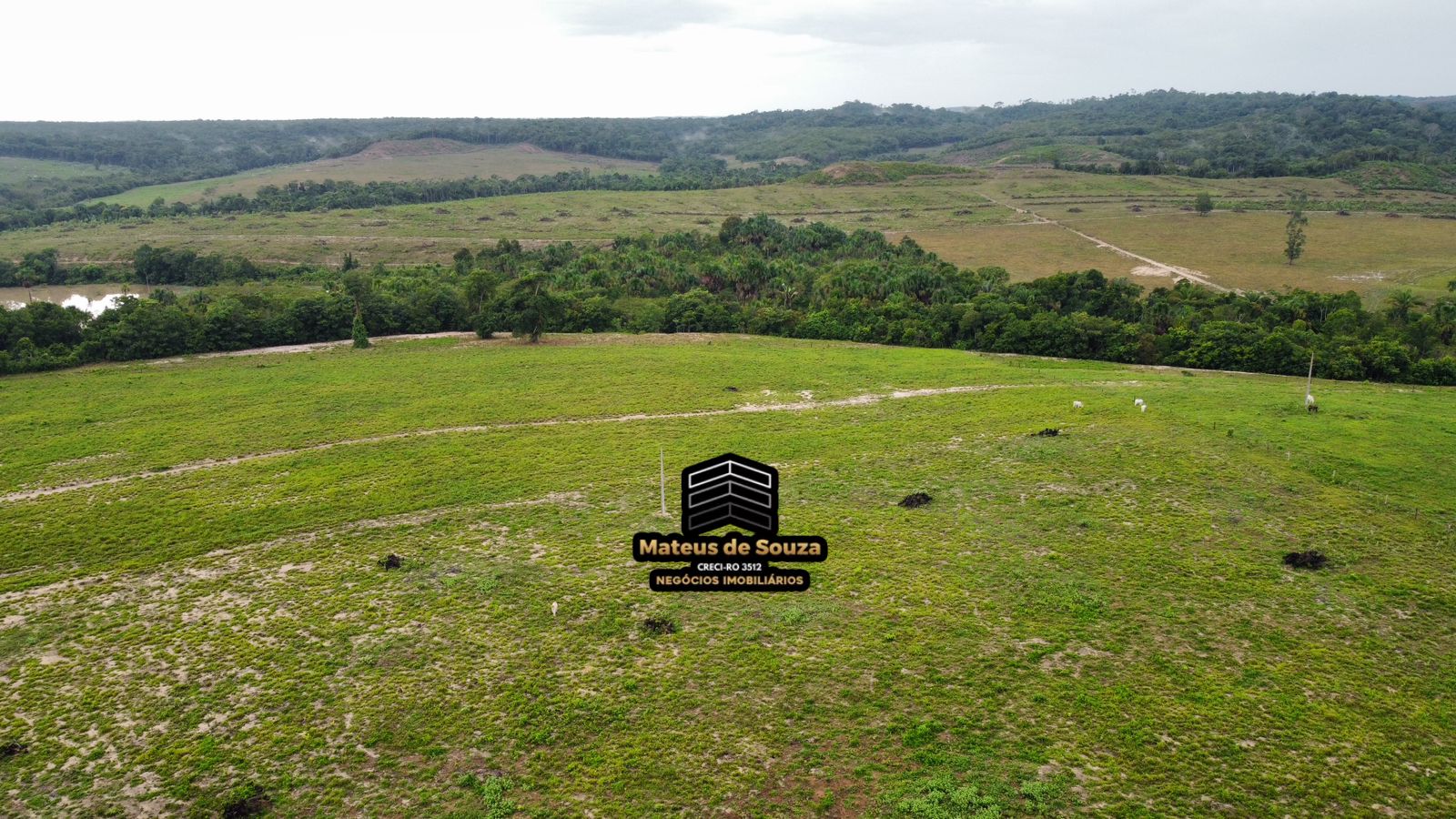 WhatsApp Image 2026-02-21 at 20.42.12 (1)