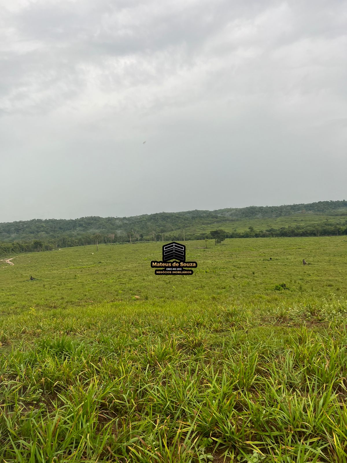 WhatsApp Image 2026-02-21 at 20.42.13 (2)