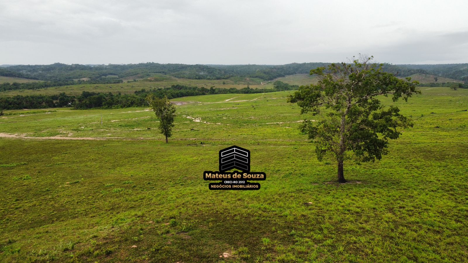 WhatsApp Image 2026-02-21 at 20.42.16 (1)