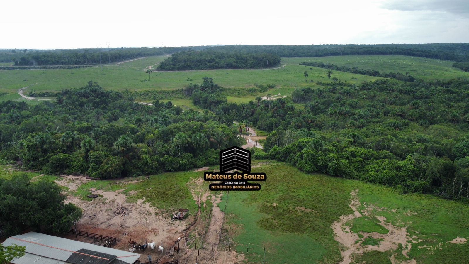 WhatsApp Image 2026-02-21 at 20.42.17 (2)