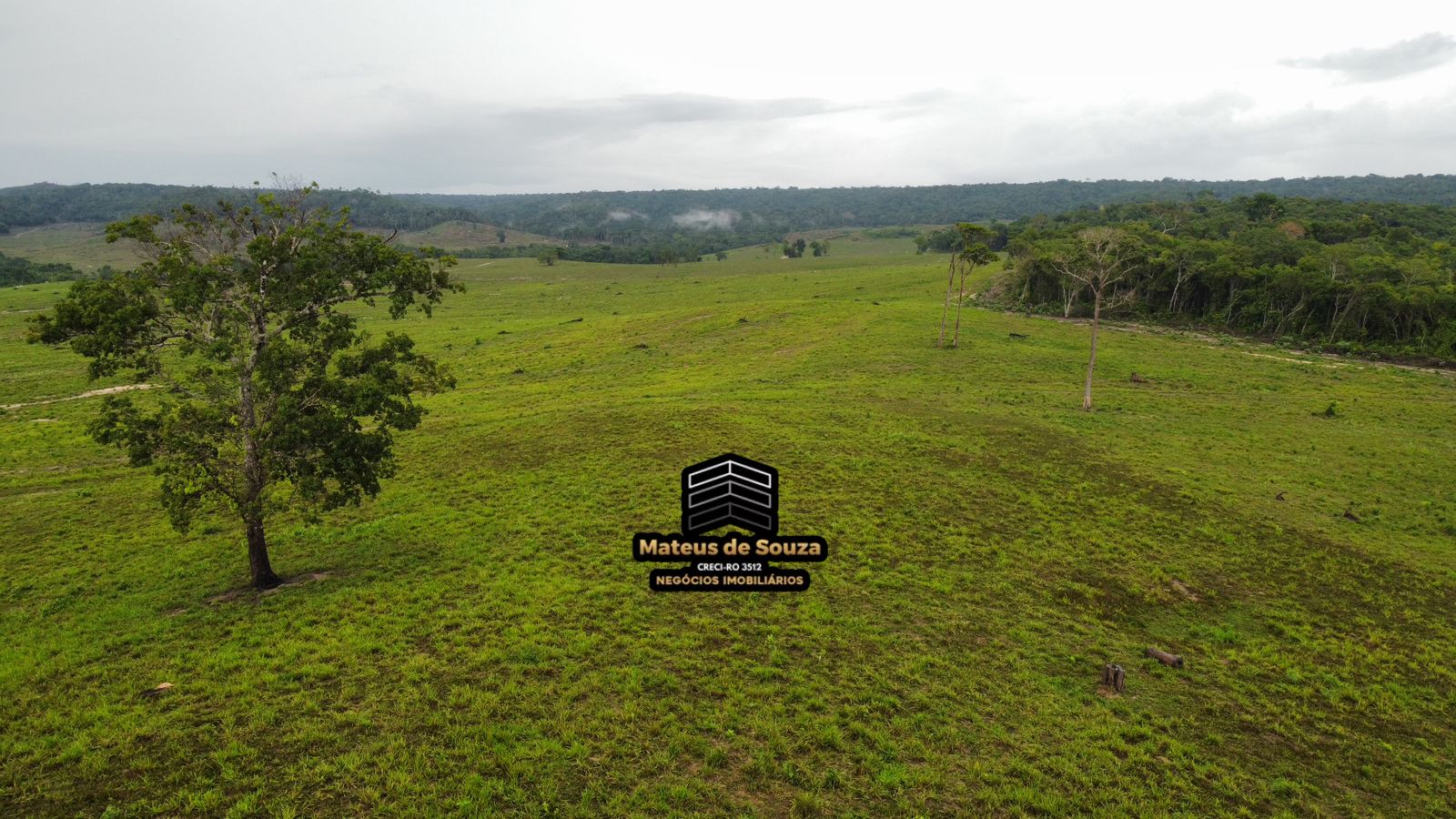 WhatsApp Image 2026-02-21 at 20.42.17