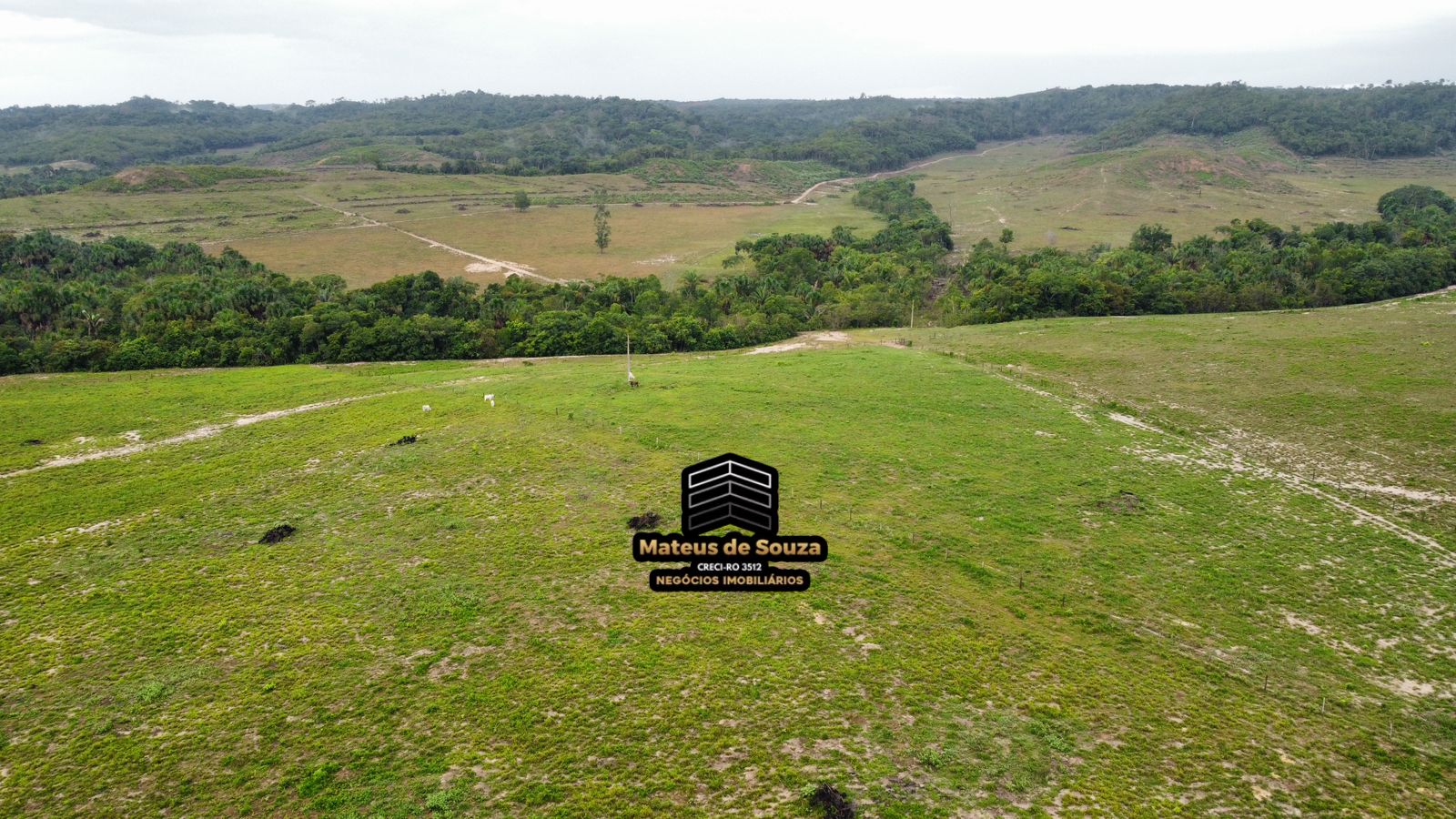 WhatsApp Image 2026-02-21 at 20.42.18