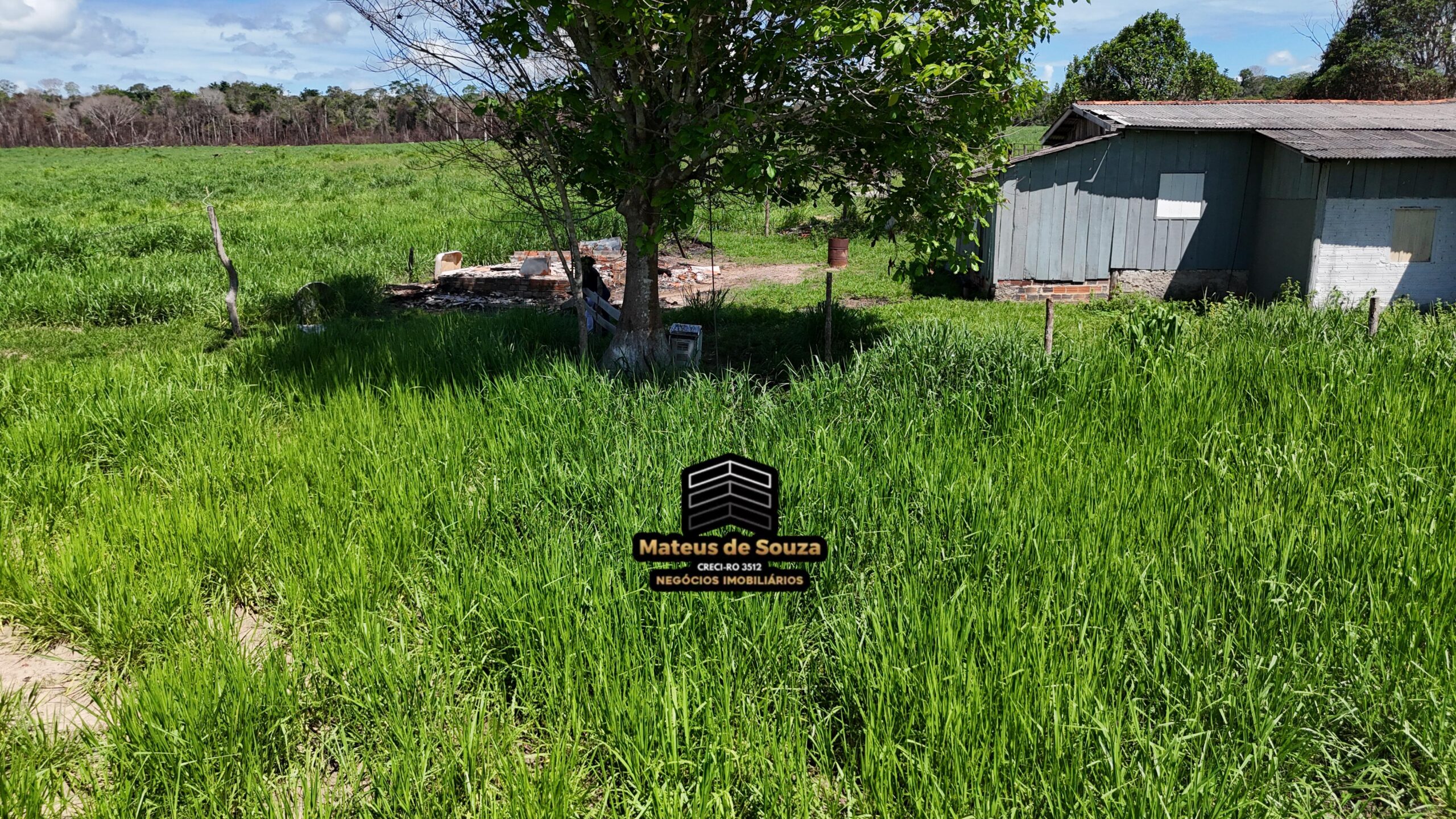 WhatsApp Image 2026-02-21 at 20.43.19