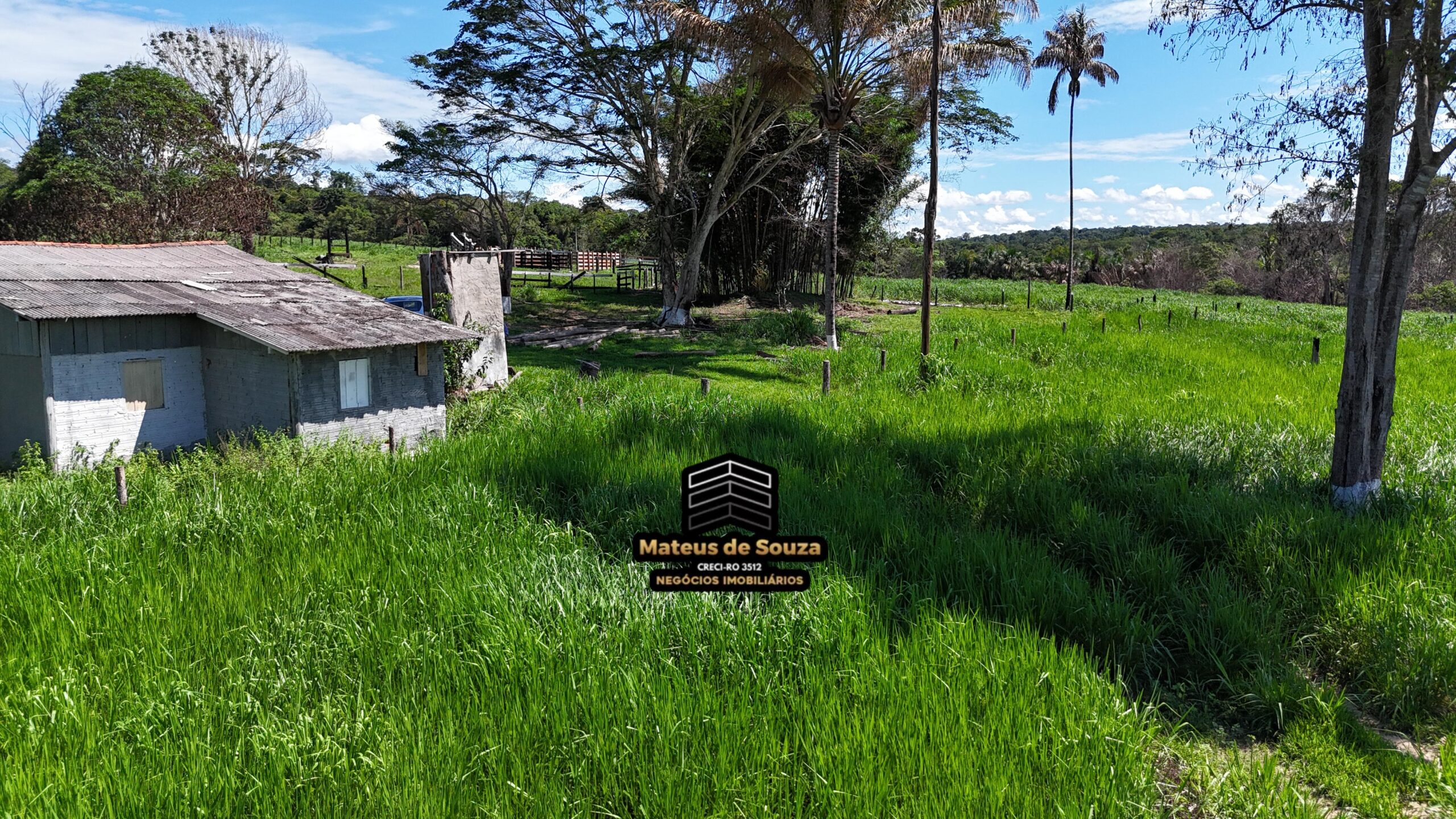 WhatsApp Image 2026-02-21 at 20.43.20 (1)