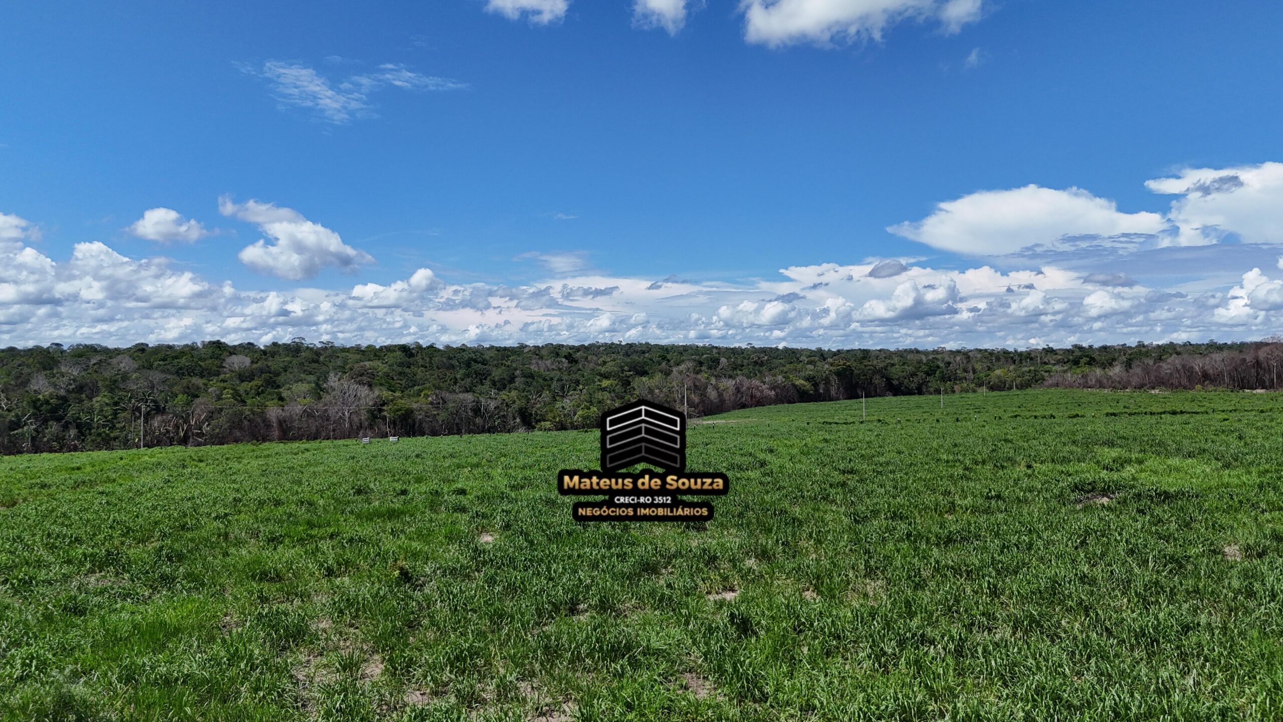 WhatsApp Image 2026-02-21 at 20.43.20