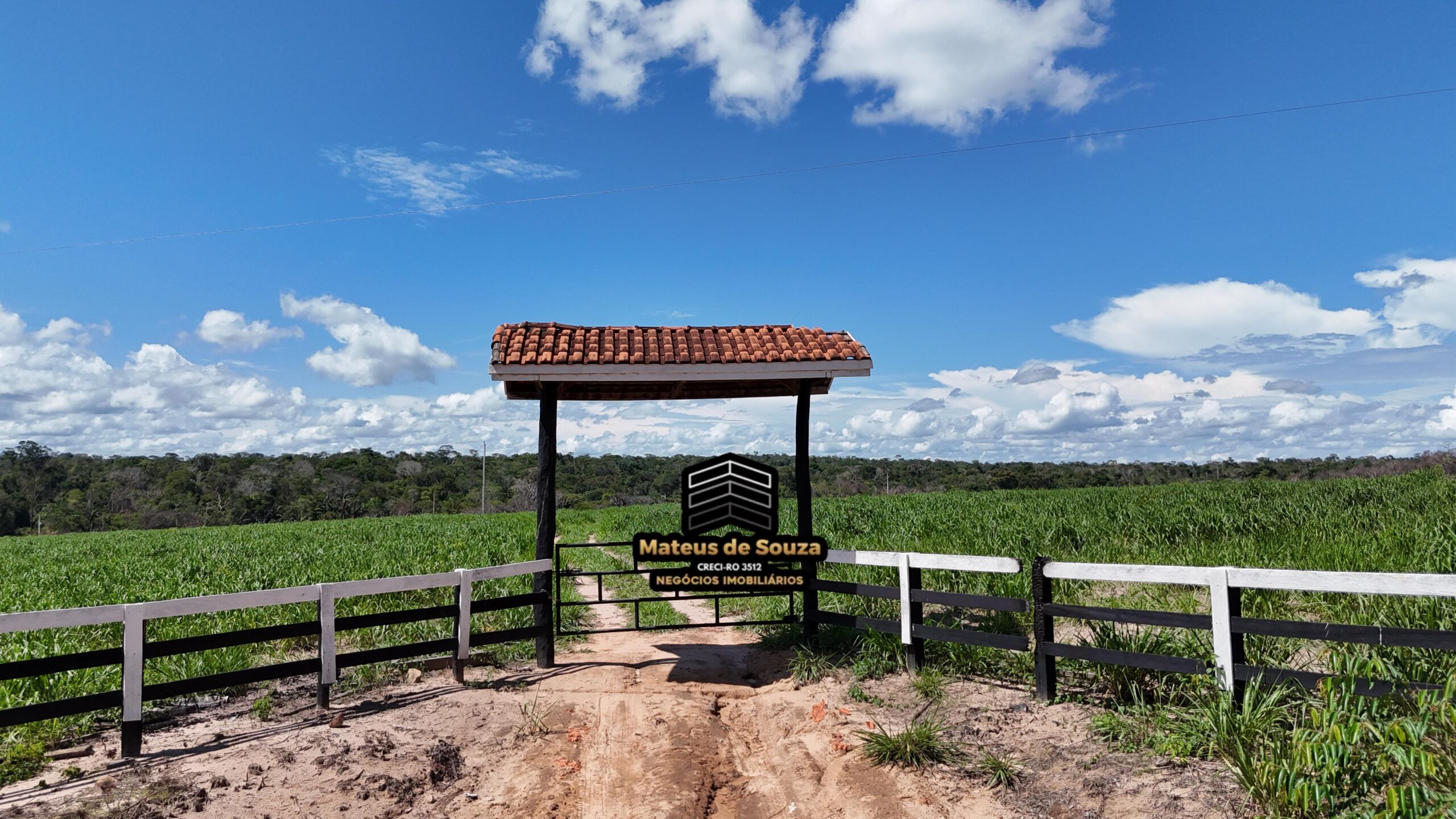 WhatsApp Image 2026-02-21 at 20.43.21