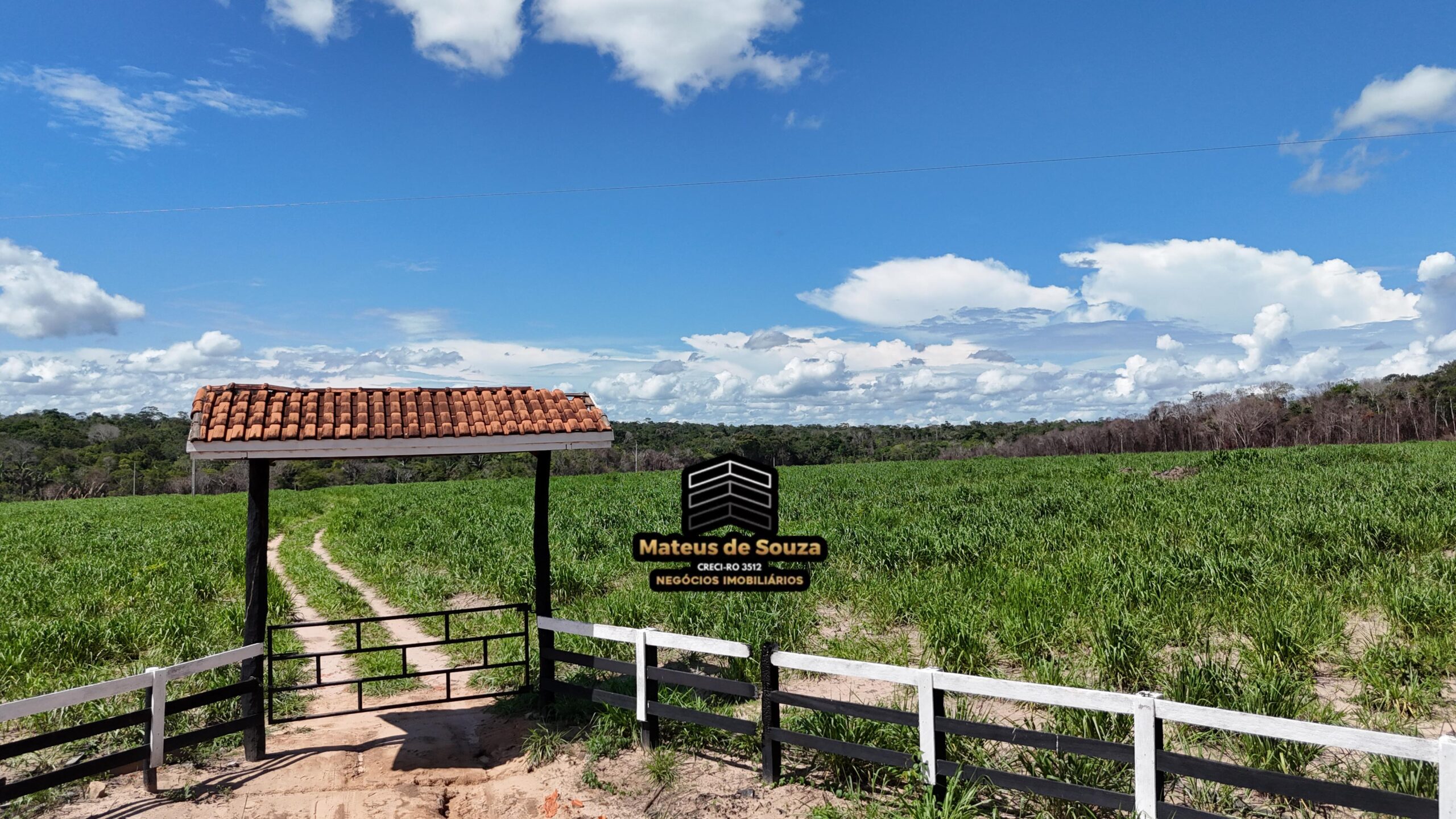 WhatsApp Image 2026-02-21 at 20.43.23